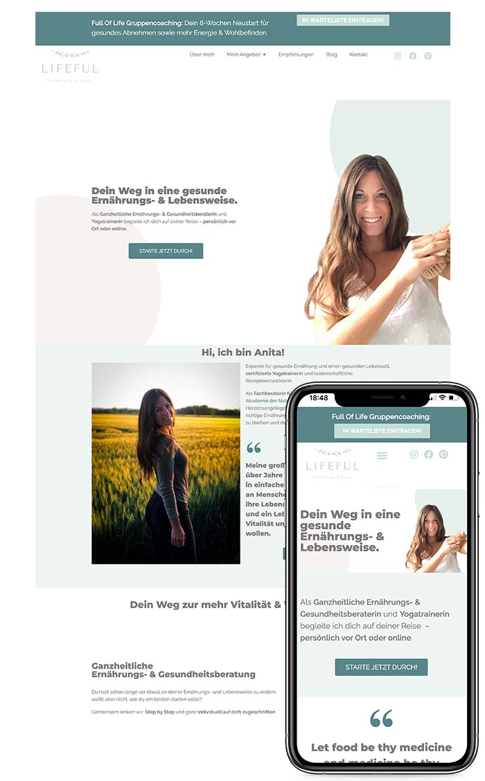 portfolio-tn-lifeful