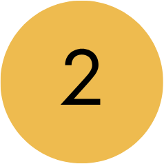 Inhalte des Website Workshops Nr. 2