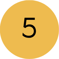 Inhalte des Website Workshops Nr. 5