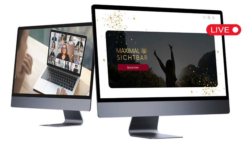 SEO-Programm Maximal sichtbar